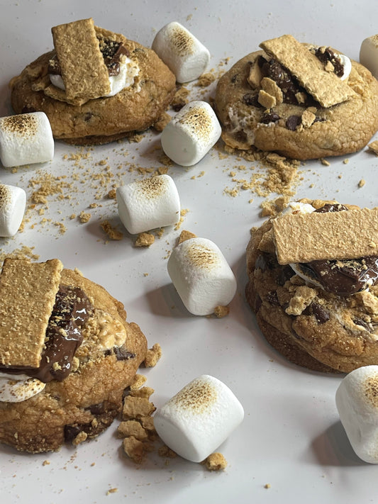 Fat Camp S'mores 6 to 24 Pack Options Starting at a Half Dozen